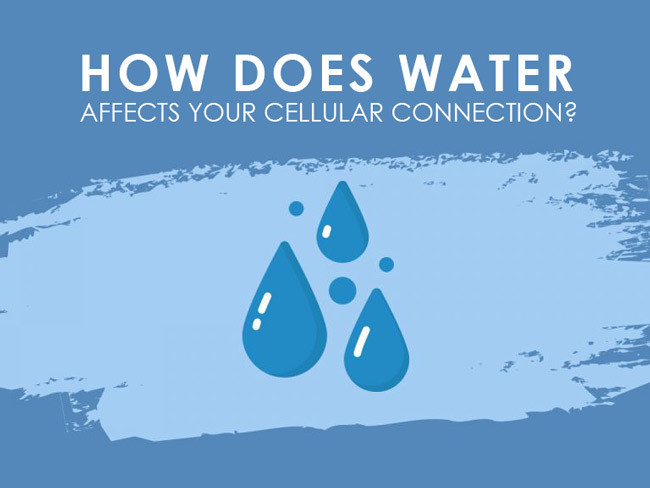 How Water Affects Your Cellular Connection?