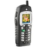 Unlock Motorola i355 Phone