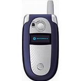 Unlock Motorola V303P Phone