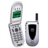 Unlock Motorola V66-HKCS Phone